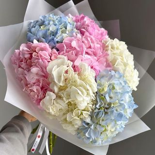 ramo de 7 hortensias