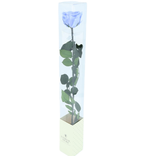 Rosa Preservada Alta Azul