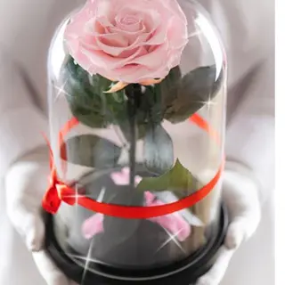 Cupalo Con Rosa Rosa