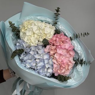 Hortensias mix 3 unidades