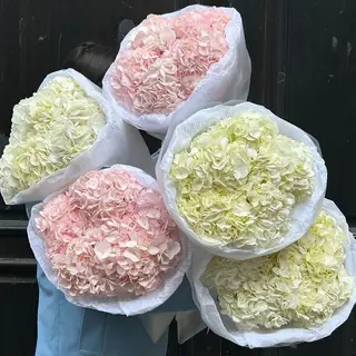 ramo de 5 hortensias