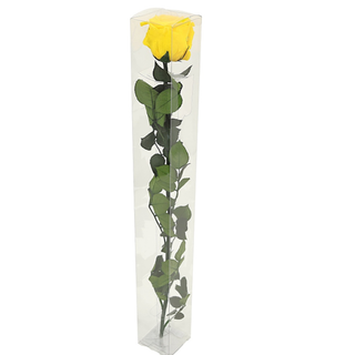 Rosa Preservada Alta Amarilla 
