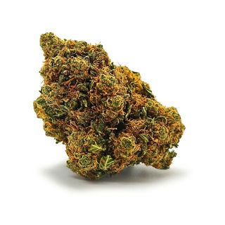 AMNESIA KHALIFA