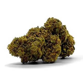 AMNESIA GLASS