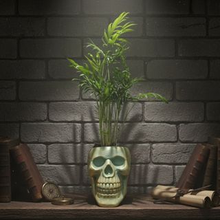 Macetero calavera+ planta