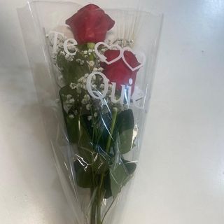 Ramo de 2 rosas decoración simple