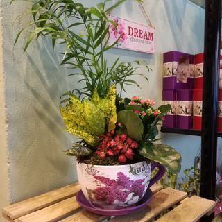 Taza con Plantas Decorativas