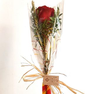 Rosa de Sant Jordi
