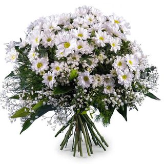 Ramo Margaritas Blancas pequeño - San Valentín