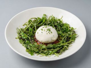 Burrata