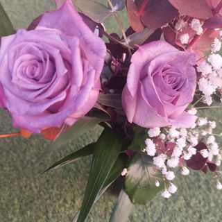 Dos unidades Rosas color violeta en jarrón 