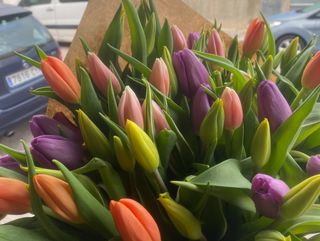 Ramo grande de tulipanes