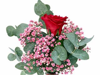 UNA ROSA PRESERVADA COLOR ROJO PREPARADA