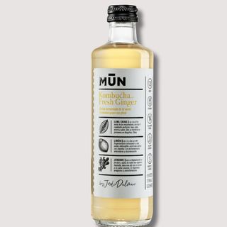 Kombucha fresh ginger