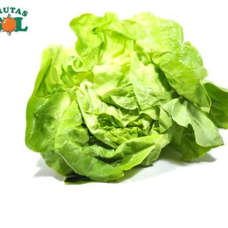 Lechuga Lisa (Unidad)