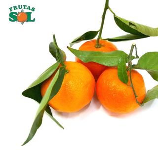 Clemenvilla Hoja (1 Kg. Aprox)