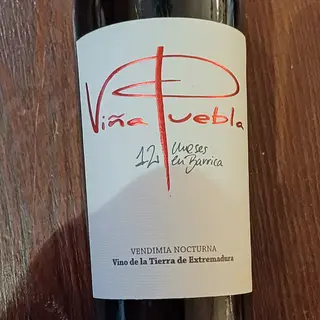 Vino Tinto viña puebla