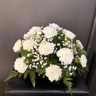 Centro Santos Clavel Blanco