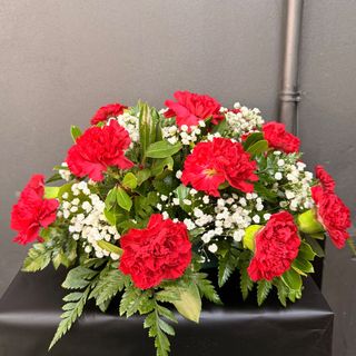Centro Santos Clavel Rojo