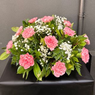 Centro Santos Clavel Rosa