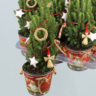 Pinito Decorado de Navidad (Natural)