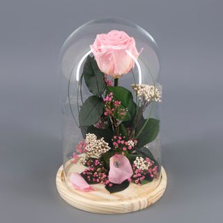Rosa Preservada Rosa en Cúpula