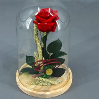 Rosa Preservada Roja en Cúpula