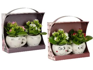 Cajita Tazas Dúo Love