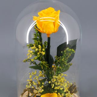 Rosa Preservada Amarilla en Cúpula "Bella y Bestia"