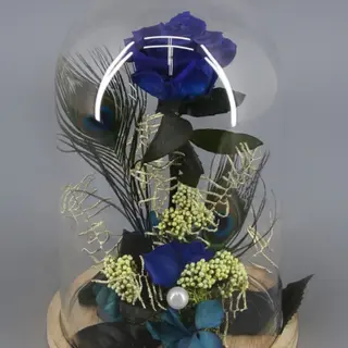 Rosa Preservada Azul en Cúpula "Bella y Bestia"