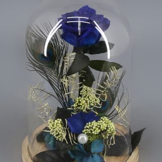 Rosa Preservada Azul en Cúpula "Bella y Bestia"