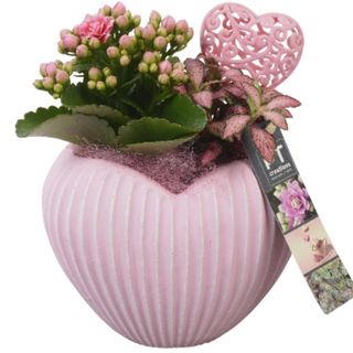 Cesta Love Pink Rosa
