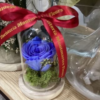 Cúpula preservada pequeña azul