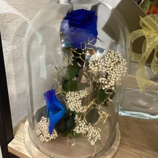 Cúpula preservada mediana azul