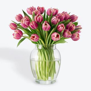 Paquete Basic 10 Tulipanes PEONIAS Rosas Flores