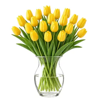 Paquete  30 Tulipanes Amarillos