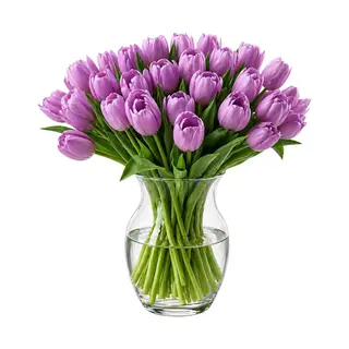 Paquete 30 Tulipanes Morados
