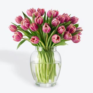 Paquete Basic 40 Tulipanes PEONIAS Rosas Flores