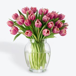 Paquete XL 50 Tulipanes PEONIAS Rosas Flores