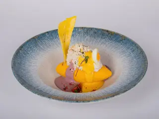 Causa limeña creativa
