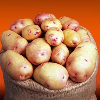 Papa Galáctica (Bolsa 5Kg)