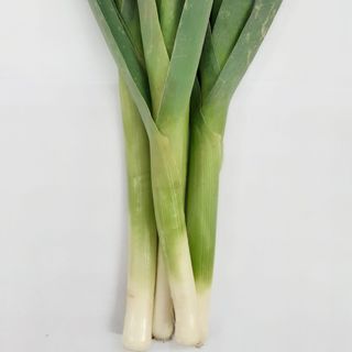 Puerro (500Gr Aprox.)