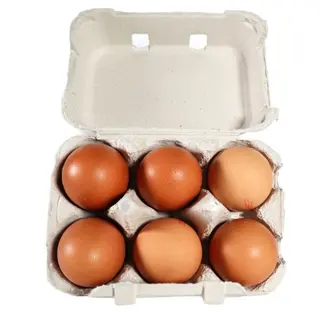 Huevos Camperos Pack 6 (1Ud)