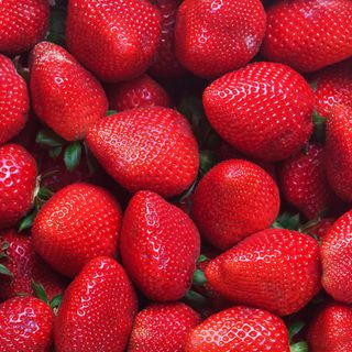 Freson TARRINA (500Gr 1Ud)