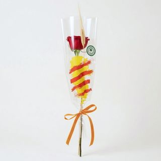 Rosa Sant Jordi Eco - Biodegradable