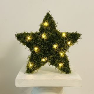 Estrella de Navidad Musgo Preservado Lucecitas