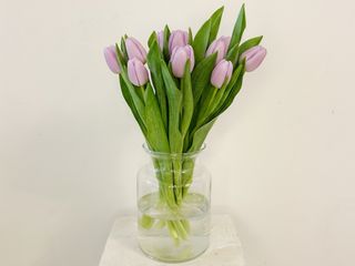 Ramo de 10 Tulipanes Morados "8M"