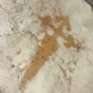 TARTA DE SANTIAGO