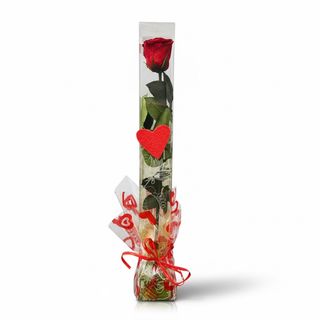 Rosa Roja,Love,Tallo Largo