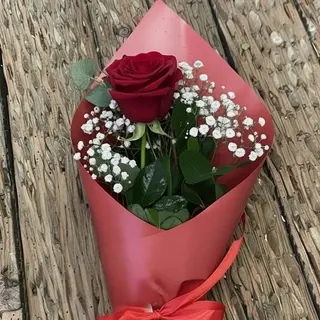 Rosa Roja Unidad